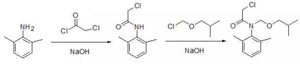 反應(yīng)方程式 反應(yīng)方程式