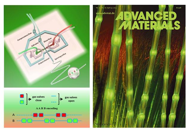 微流控技術(shù)仿生合成微米纖維生物材料新進(jìn)展 微流控技術(shù)仿生合成微米纖維生物材料新進(jìn)展