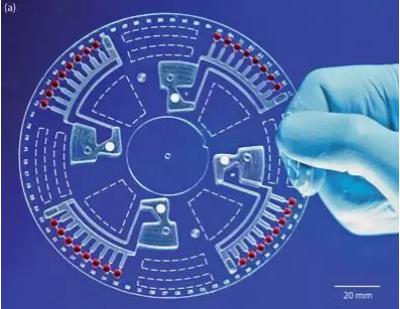 圖9 吸塑工藝得到的離心式微流控芯片 圖9 吸塑工藝得到的離心式微流控芯片