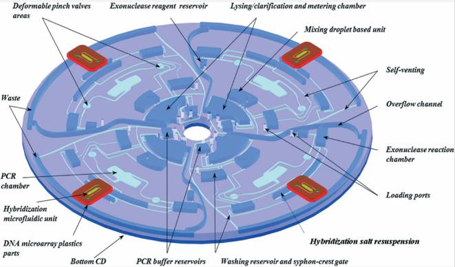 圖2：Lab-on-Disc設(shè)備的顯示，顯示了四個平行測試以及各個組件，指示裂解，PCR擴增，外切核酸酶反應(yīng)，微陣列雜交等功能。
