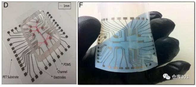 圖2. D)檢測平臺(tái)實(shí)物圖 F) PET柔性電路板實(shí)物圖