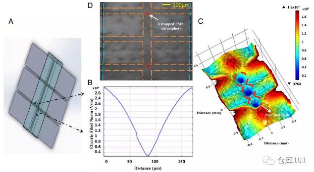 圖3. 多元復(fù)雜體系中單個(gè)生物粒子限制功能 A)微流控芯片示意圖；B)微流控管道內(nèi)電勢分布；C)三維電勢圖；D)顯微照相圖