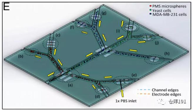 圖7. 全功能微流控納米噴墨電子檢測平臺(tái)示意圖
