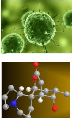 微流控芯片應用領域