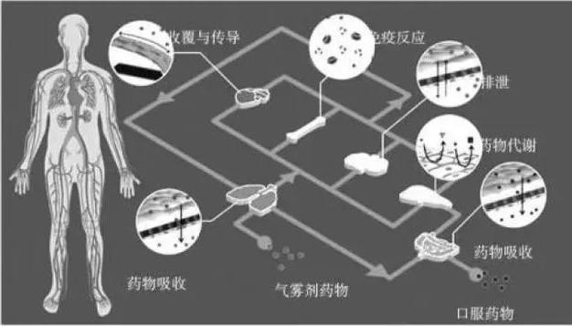 人體芯片示意圖 人體芯片示意圖