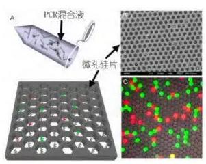 基于微孔芯片的數(shù)字 PCR 檢測(cè)
