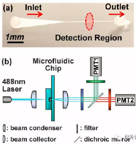 微流控芯片|微流控芯片批量加工