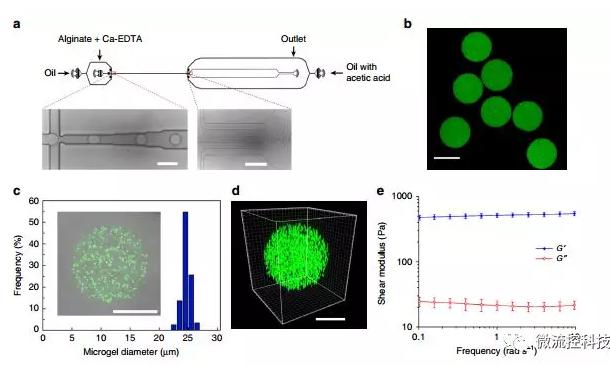 微流控技術(shù)開(kāi)發(fā)微型彈性球，可用于癌癥診斷