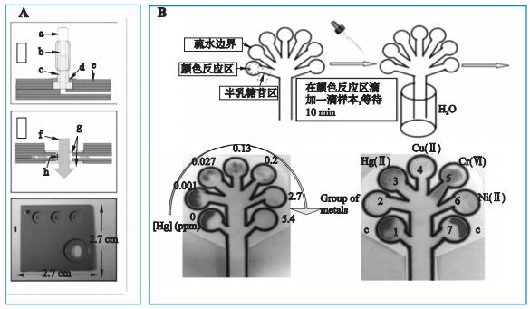 圖1重金屬檢測(cè)微流控芯片系統(tǒng) 圖1重金屬檢測(cè)微流控芯片系統(tǒng)