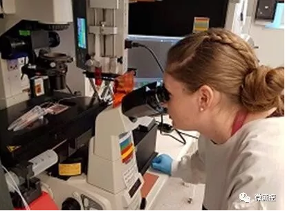 微流控技術(shù)在孕婦血樣檢測(cè)領(lǐng)域取得突破 微流控技術(shù)在孕婦血樣檢測(cè)領(lǐng)域取得突破