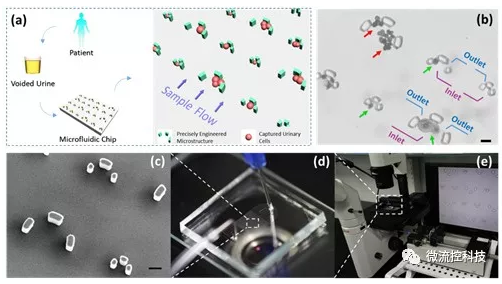 微流控技術(shù)在膀胱癌無創(chuàng)檢測領(lǐng)域取得重要進展 微流控技術(shù)在膀胱癌無創(chuàng)檢測領(lǐng)域取得重要進展