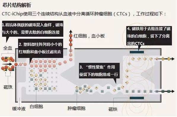 芯片結(jié)構(gòu)解析 芯片結(jié)構(gòu)解析