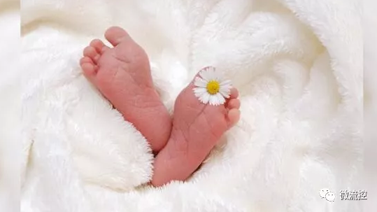 微流控技術(shù)結(jié)合心博拯救新生兒 微流控技術(shù)結(jié)合心博拯救新生兒