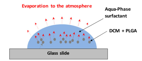 顯示DCM從液滴通過連續(xù)相進(jìn)入大氣的傳輸路線的代表性圖表