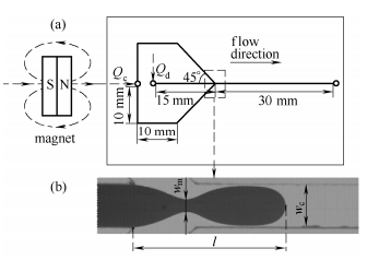  Y 聚焦型微通道結(jié)構(gòu)
