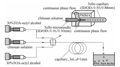 同軸環(huán)管型微流控裝置