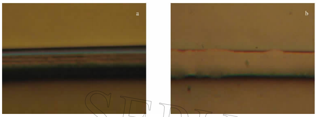 PMMA微流控芯片的體視顯微鏡圖