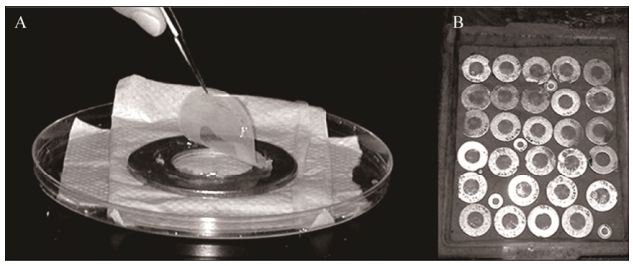 圖2擴散生長盒原位培養(yǎng)環(huán)境微生物示意圖