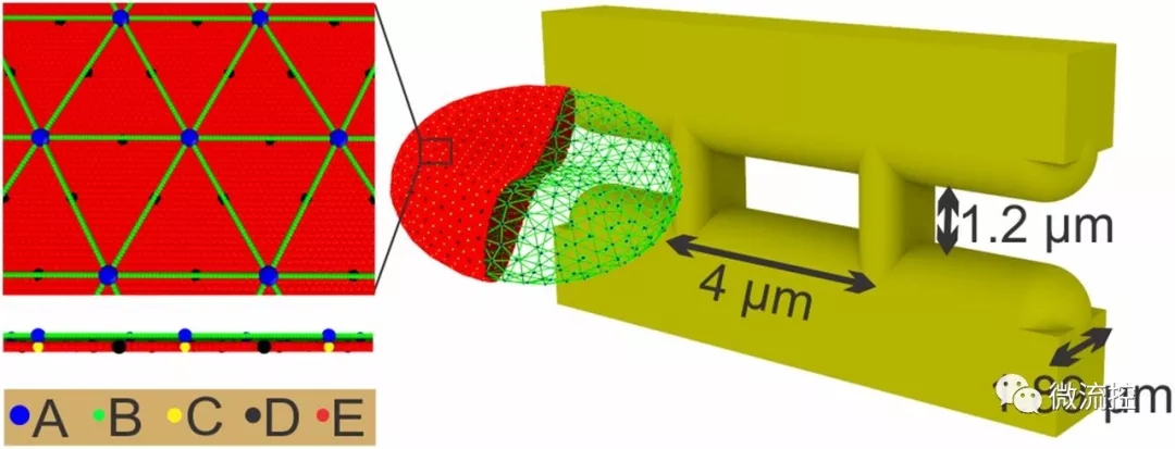 微流體系統(tǒng)幫助預(yù)測血管易堵塞程度 微流體系統(tǒng)幫助預(yù)測血管易堵塞程度