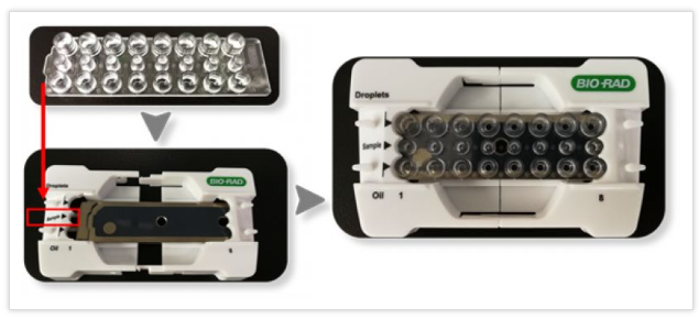 將8孔微滴生成板打開(kāi)包裝，安裝到支架上，注意微滴生成板的方向與支架上標(biāo)記方向一致