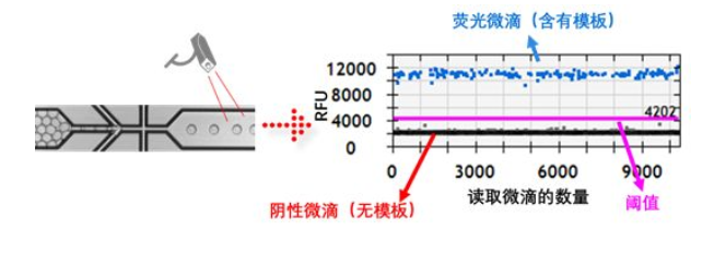 微滴的相對(duì)熒光值進(jìn)行記錄