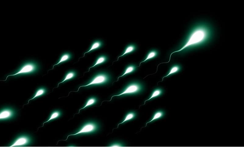 圖片來源:CC0 Public Domain 圖片來源:CC0 Public Domain