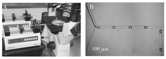 圖2(A)實驗系統(tǒng)裝置;(B)液滴穩(wěn)定生成