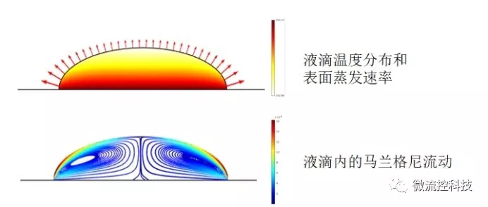 馬蘭格尼效應(yīng)