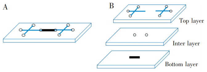 磁珠芯片設(shè)計圖:(A)芯片俯視示意圖;(B)芯片各層示意圖