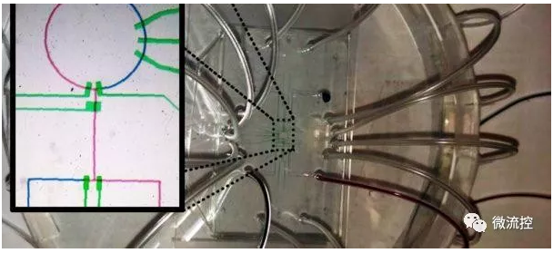 微流體生物芯片可處理微量的流體，經(jīng)常與傳感器和智慧控制演算法等“連網(wǎng)”元素結(jié)合，以提高性能和可靠性，但也因此遭受安全威脅（來源：NYU)