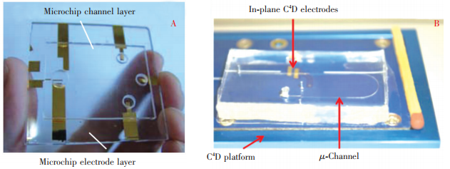 圖2兩種典型的電泳微芯片結(jié)構(gòu):(A)一體式結(jié)構(gòu)實(shí)例[17];(B)外部電極式結(jié)構(gòu)實(shí)例[18]