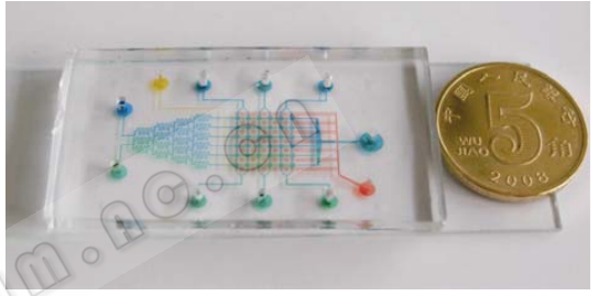 圖 4 微流控細(xì)胞陣列芯片的實(shí)物圖 