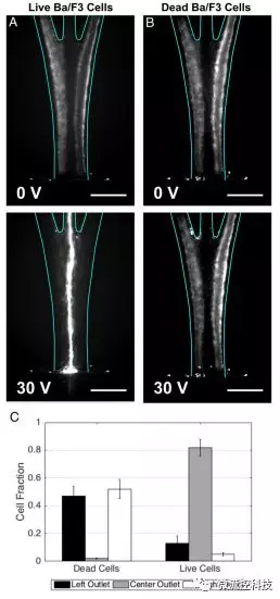 MIT 結(jié)構(gòu)化多材料纖維微流控裝置
