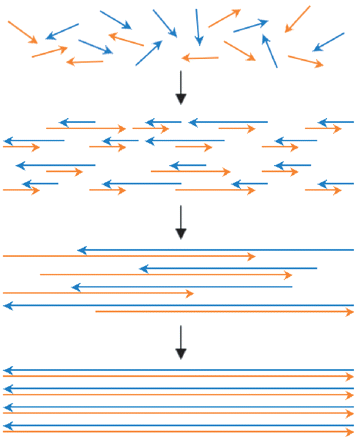 PDMS微流控芯片用于基因合成 PDMS微流控芯片用于基因合成
