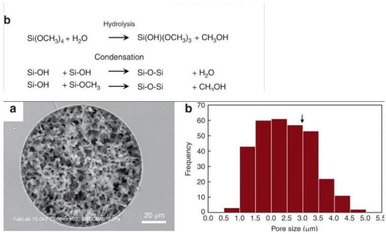 使用微流控整體裝置從血液中分離完整細(xì)菌