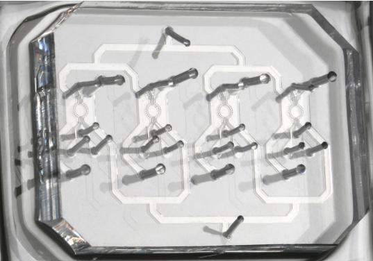 在微流控芯片上培養(yǎng)胚胎干細(xì)胞 在微流控芯片上培養(yǎng)胚胎干細(xì)胞