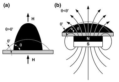 磁保護(hù)的示意圖 磁保護(hù)的示意圖