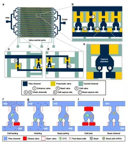 抓得著+單細胞分析:Hydro-Seq 抓得著+單細胞分析:Hydro-Seq
