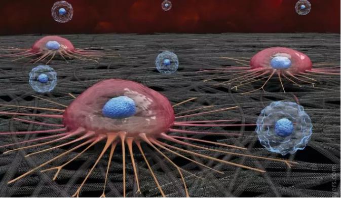 抓得著:碳納米管芯片 抓得著:碳納米管芯片