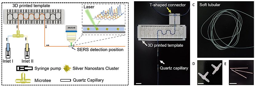 基于軟管微流控的動(dòng)態(tài)流體SERS平臺(tái)用于無標(biāo)記細(xì)胞檢測(cè) 基于軟管微流控的動(dòng)態(tài)流體SERS平臺(tái)用于無標(biāo)記細(xì)胞檢測(cè)