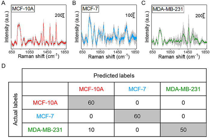 基于軟管微流控的動(dòng)態(tài)流體SERS平臺(tái)用于無標(biāo)記細(xì)胞檢測(cè) 基于軟管微流控的動(dòng)態(tài)流體SERS平臺(tái)用于無標(biāo)記細(xì)胞檢測(cè)