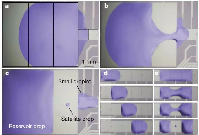 圖三：液滴在MEMS芯片的液流通道中產(chǎn)生、移動(dòng)和融合