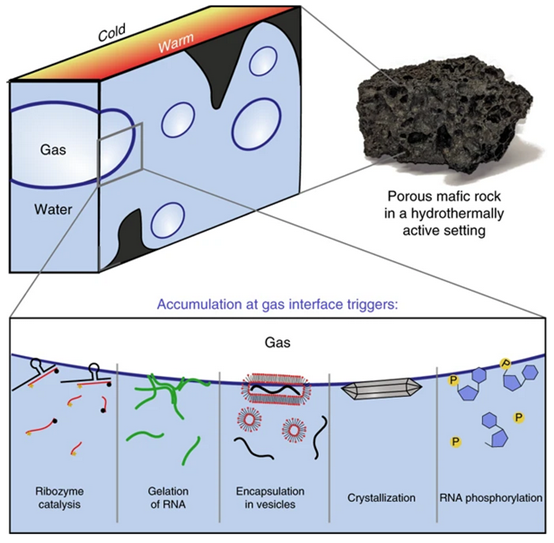 研究人員利用3D打印構建了模擬火山巖的微流控器件，用于觀察重要的生命分子在液-氣界面的動力學行為