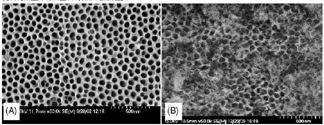 圖2. 陽極氧化微反應(yīng)器的表面形態(tài)：（A）未水熱處理，（B）水熱處理后