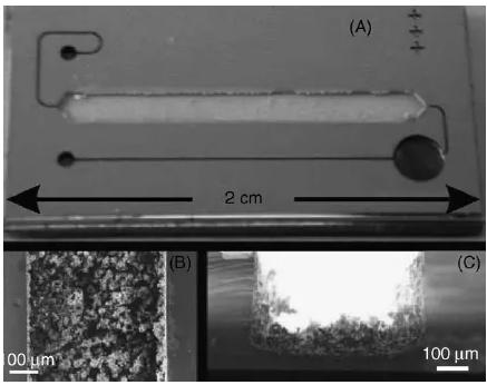 圖5. 在火焰噴霧沉積催化劑后用微反應(yīng)器的樣品架的照片