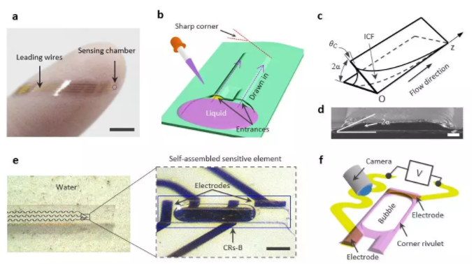 圖1 基于內(nèi)角流的微氣泡傳感器設(shè)計(jì)原理
