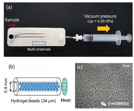 圖1 （a）實(shí)驗(yàn)裝置；（b）微珠填充微通道的示意圖；（c）微珠填充微通道內(nèi)顯微鏡圖像。