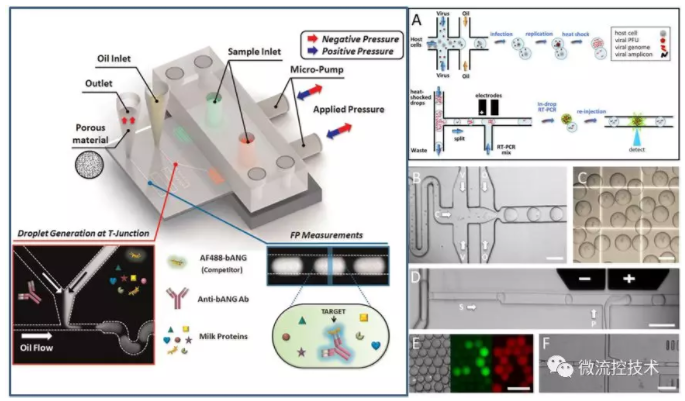 液滴微流控技術(shù)應(yīng)用于分子診斷免疫檢測(cè)和病毒感染性檢測(cè)