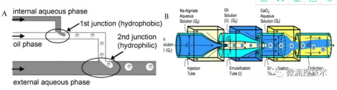 微流控液滴的應(yīng)用-食品加工方面