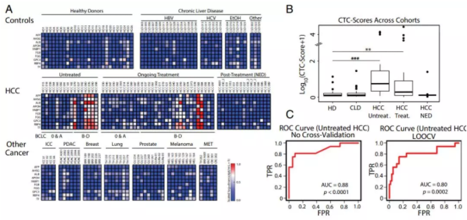 圖2.微流控CTC-iChip系統(tǒng)能夠特異地識(shí)別肝癌細(xì)胞。